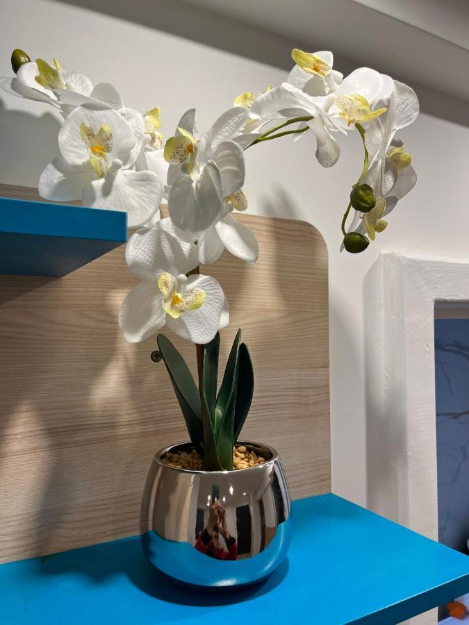 Apartament Centrum Okulickiego ! Stalowa Wola Exteriör bild